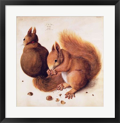 Framed Squirrels, 1512 Print