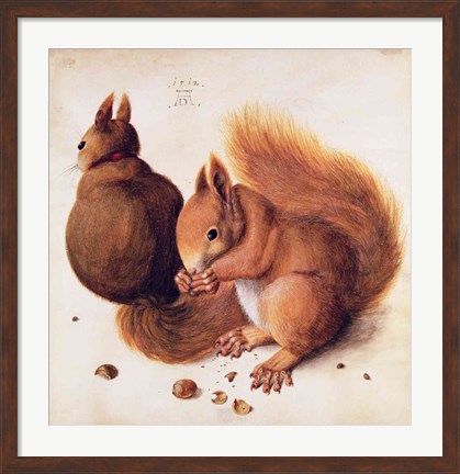 Framed Squirrels, 1512 Print