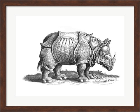 Framed Rhinoceros Print