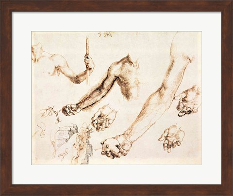 Framed Study of male hands and arms Print