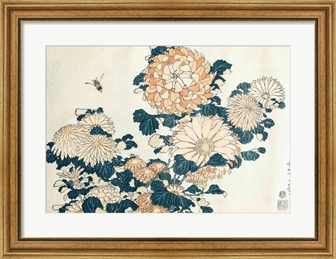 Framed Chrysanthemums Print