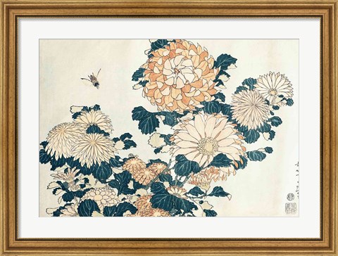 Framed Chrysanthemums Print