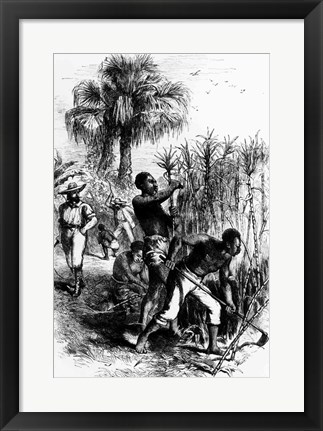 Framed Slaves Working on a Plantation Print