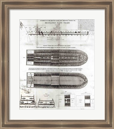 Framed Stowage of the British Slave Ship &#39;Brookes&#39; Under the Regulated Slave Trade Act of 1788 Print