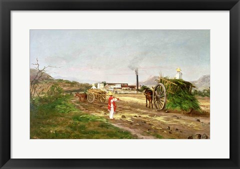 Framed Peasants Collecting Sugar Cane Print