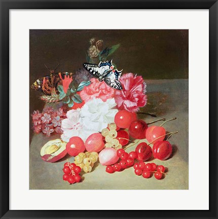 Framed Still Life with Butterflies Print