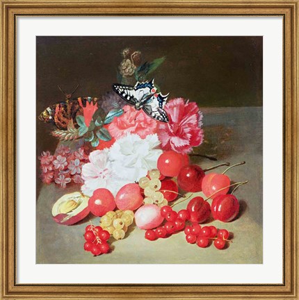 Framed Still Life with Butterflies Print