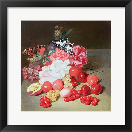 Framed Still Life with Butterflies Print