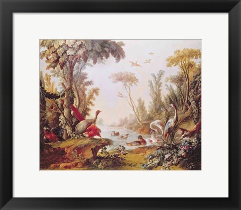 Framed Lake with geese, storks, parrots and herons, from the Salon of Gilles Demarteau Print