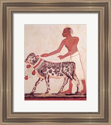 Framed Peasant leading a cow to sacrifice Print