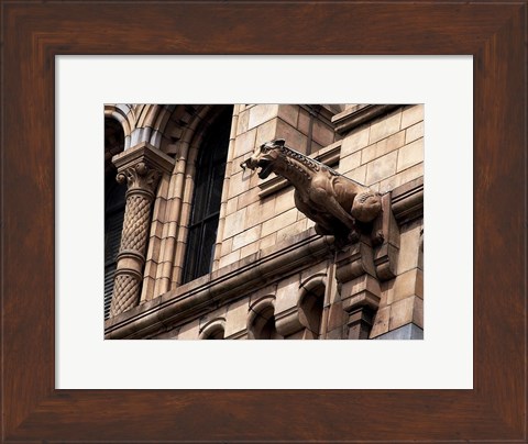 Framed Gargoyle Statue Print