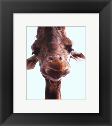 Framed Giraffe Face Print