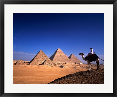 Framed Riding a camel near pyramids, Giza Pyramids, Giza, Egypt Print