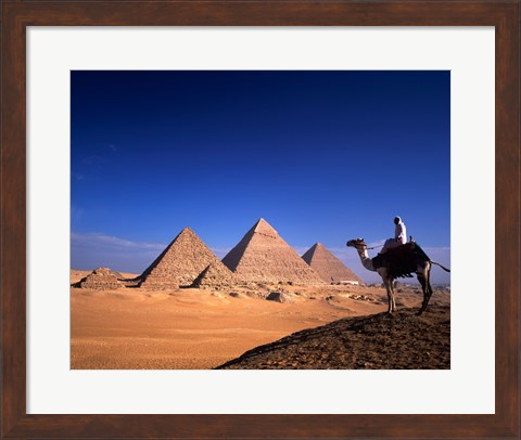 Framed Riding a camel near pyramids, Giza Pyramids, Giza, Egypt Print