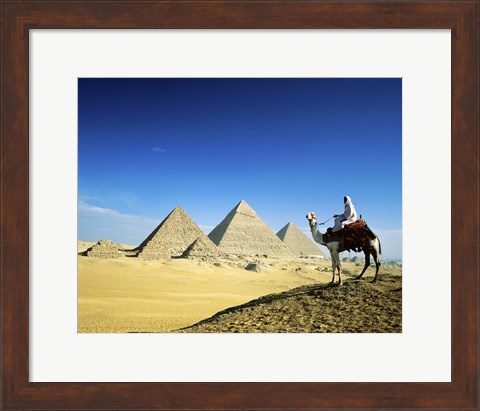 Framed Man riding a camel near the pyramids, Giza, Egypt Print