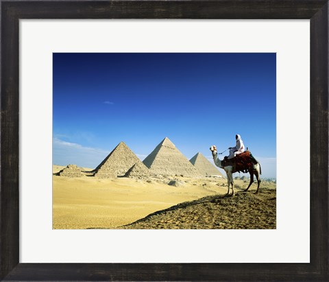 Framed Man riding a camel near the pyramids, Giza, Egypt Print