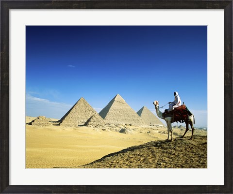 Framed Man riding a camel near the pyramids, Giza, Egypt Print
