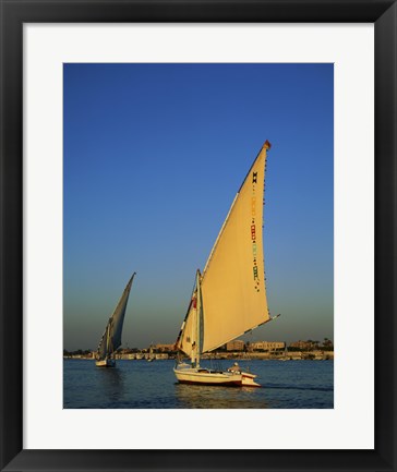 Framed Sailboats sailing in a river, Nile River, Luxor, Egypt Print