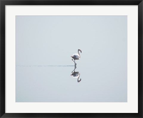 Framed Flamingo Solo Print