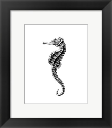 Framed Seahorse Print