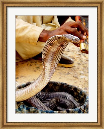 Framed Snake in a Basket Print