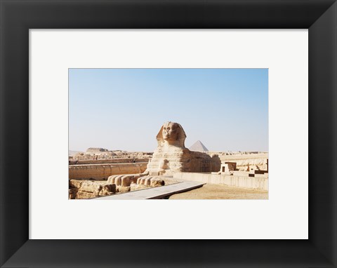 Framed Sphinx Print