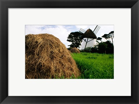 Framed Traditional windmill in a field, Tacumshane Windmill, Ireland Print