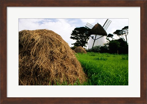 Framed Traditional windmill in a field, Tacumshane Windmill, Ireland Print