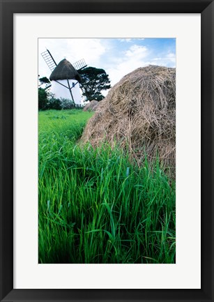 Framed Traditional windmill in a field, Tacumshane Windmill, Tacumshane, Ireland Print