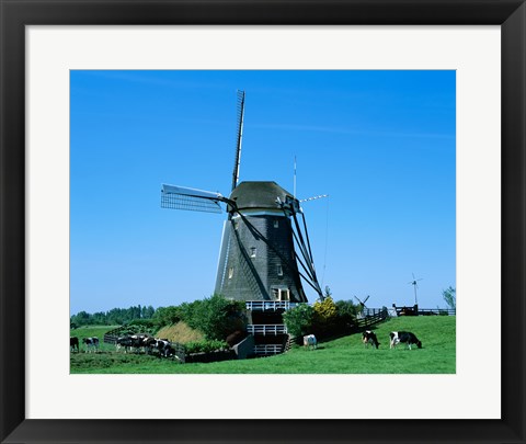 Framed Windmill and Cows, Wilsveen, Netherlands Photograph Print