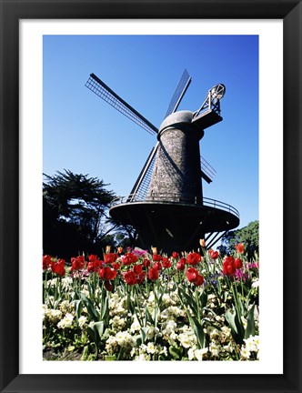 Framed Low angle view of a traditional windmill, Queen Wilhelmina Garden, Golden Gate Park, San Francisco, California, USA Print