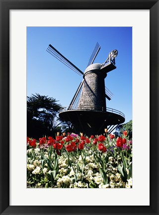 Framed Low angle view of a traditional windmill, Queen Wilhelmina Garden, Golden Gate Park, San Francisco, California, USA Print