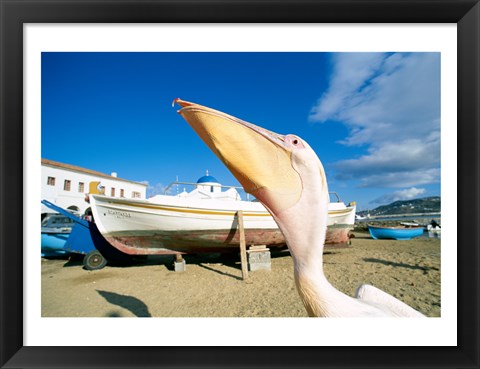 Framed Pelican and Fishing Boats on Beach, Mykonos, Cyclades Islands, Greece Print