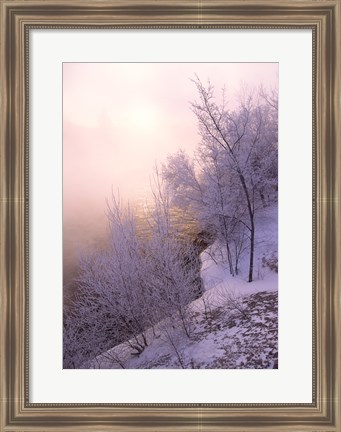 Framed River covered with fog at sunrise Print