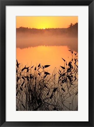 Framed Sunrise over a lake Print