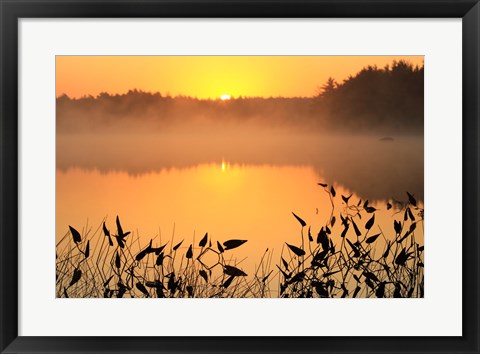 Framed Sunrise over a lake Print