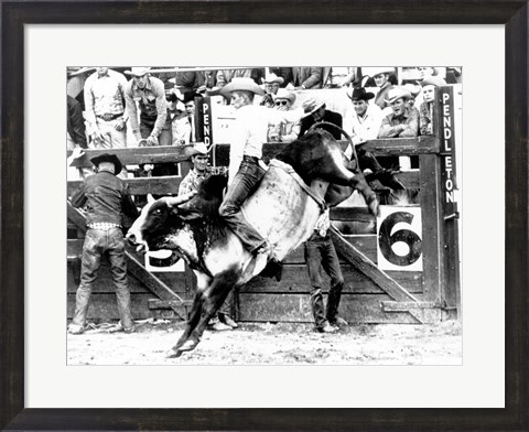 Framed Side profile of a cowboy riding a bull at a rodeo Print