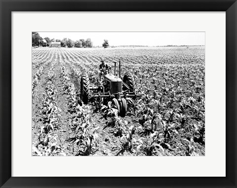 Framed Farmer Driving Tractor in Field Print