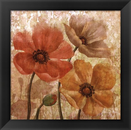 Framed Poppy Allure I Print