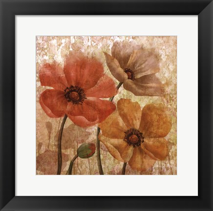 Framed Poppy Allure I Print