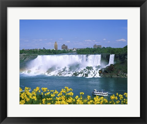 Framed Flowers in front of a waterfall, American Falls, Niagara Falls, New York, USA Print