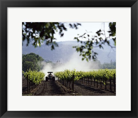 Framed Tractor in a field, Napa Valley, California, USA Print