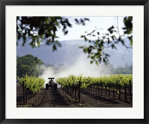 Framed Tractor in a field, Napa Valley, California, USA Print