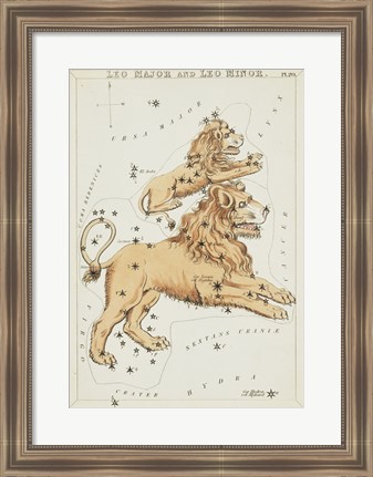 Framed Leo Major and Leo Minor Constellation Print