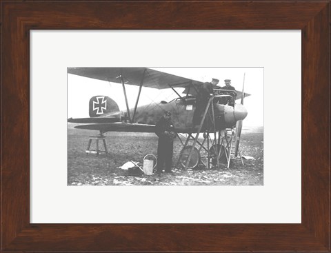 Framed Albatos D.III Print