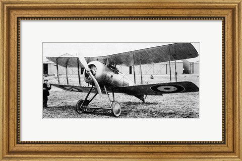 Framed Gloster Nightjar Print