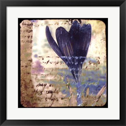 Framed Blooming Purple I Print