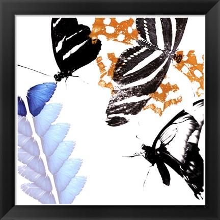 Framed Butterfly Infloresence II Print