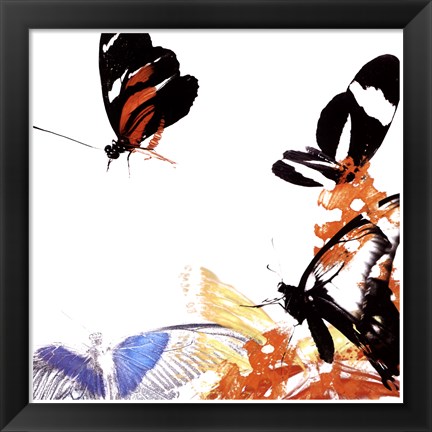 Framed Butterfly Infloresence IV Print