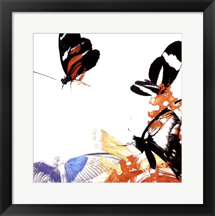 Framed Butterfly Infloresence IV Print